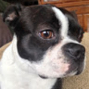 Meet your Posher, Genevieve